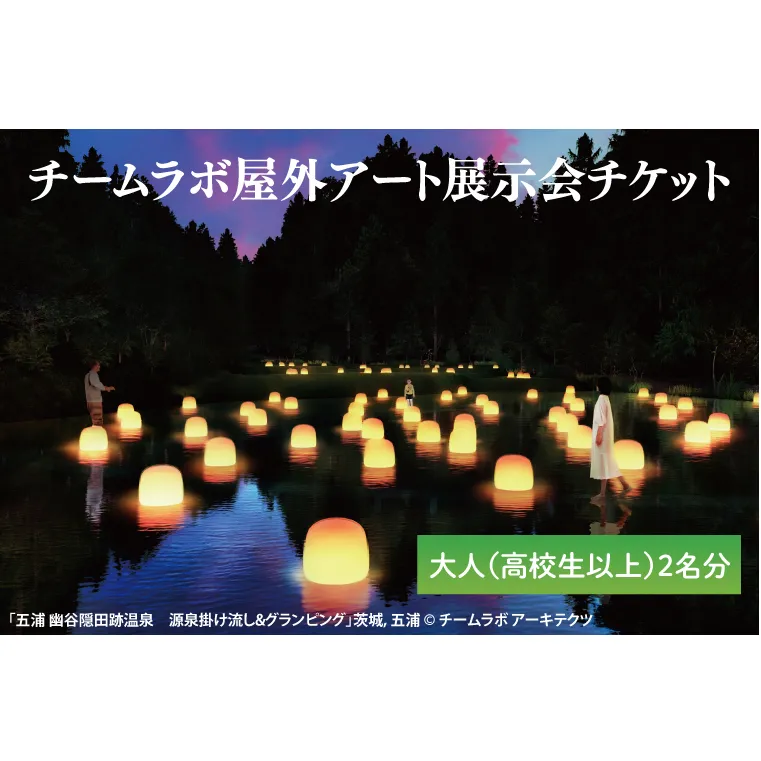 チームラボ屋外アート展示会チケット大人（高校生以上）2名分(CJ106)