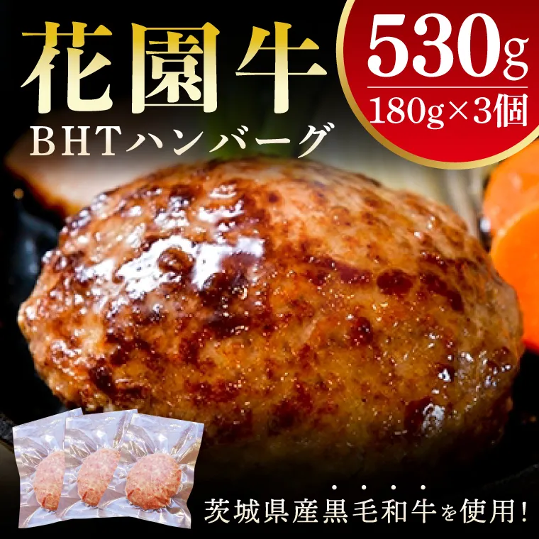 花園牛　BHTハンバーグ 180ｇ×3個【ハンバーグ 肉 お肉 贅沢 冷凍 茨城県 北茨城市】(BY002)