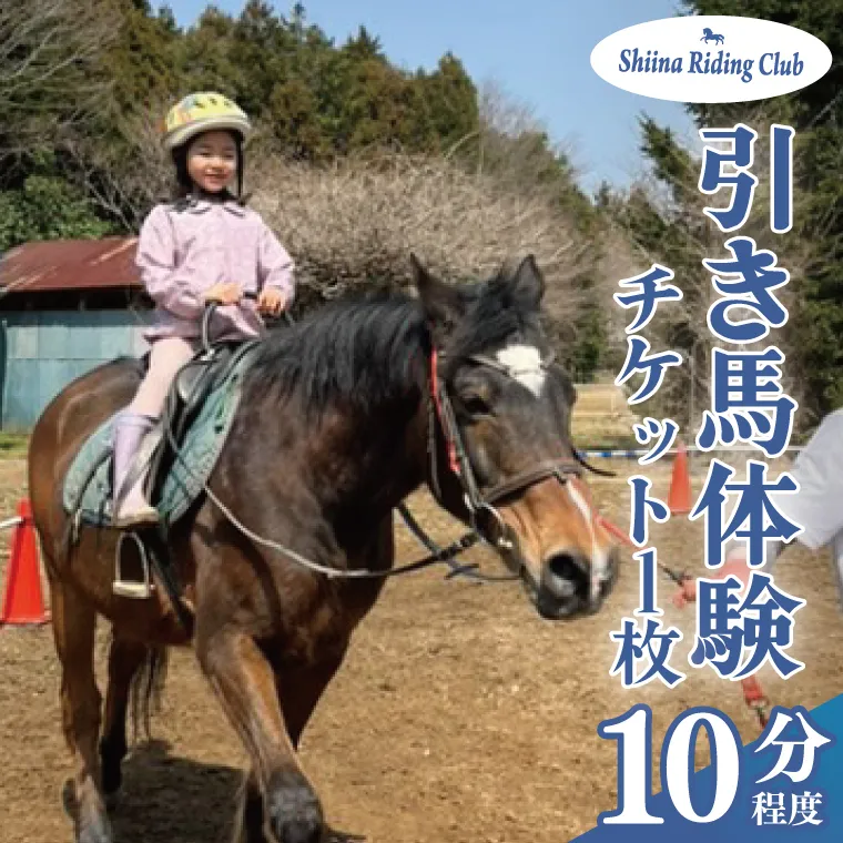 Shiina Riding Club　引き馬体験10分程度【茨城県 北茨城市 アクティビティ おでかけ レンタル 体験 チケット 馬】（DA002）