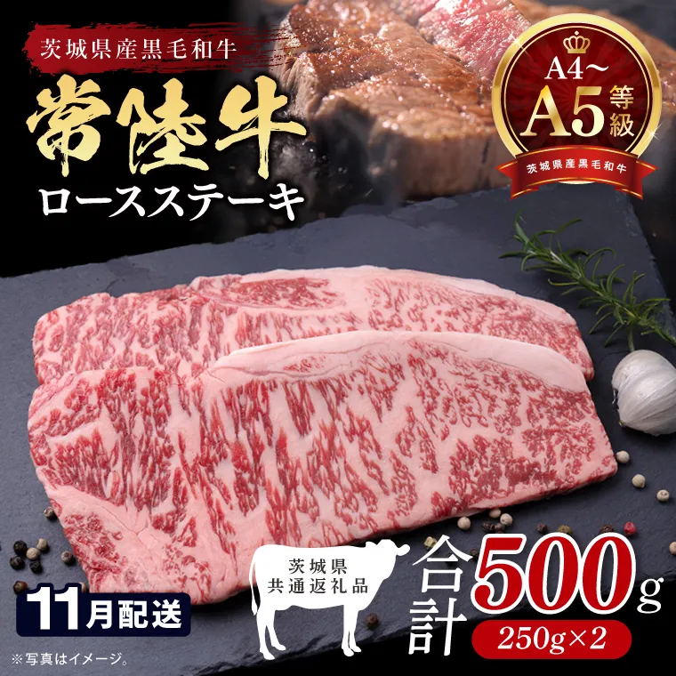 【2026年11月発送予定】最高級A4.A5ランク 常陸牛ロースステーキ500ｇ（250ｇ×2）【人気肉 お肉 牛肉 和牛 黒毛和牛 国産黒毛和牛 ロース肉 ステーキ 国産牛 焼肉 焼き肉 バーベキュー BBQ A5 ブランド牛】(CR101-11)