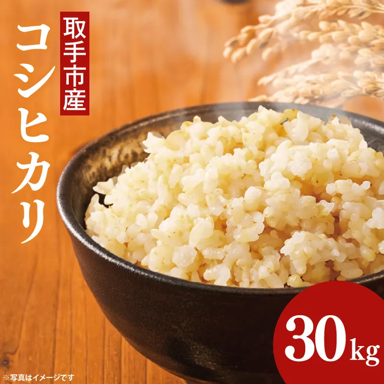 【令和7年度産】取手市産 コシヒカリ 玄米30kg | 米 玄米 こしひかり JA 茨城県 取手市 (AR003)