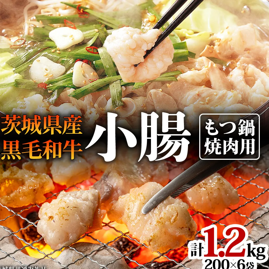 【茨城県産】 黒毛和牛 もつ鍋 焼肉用 小腸 1.2kg(200g×6パック) (茨城県共通返礼品) 国産 牛肉 肉 お肉 ホルモン もつ 焼肉