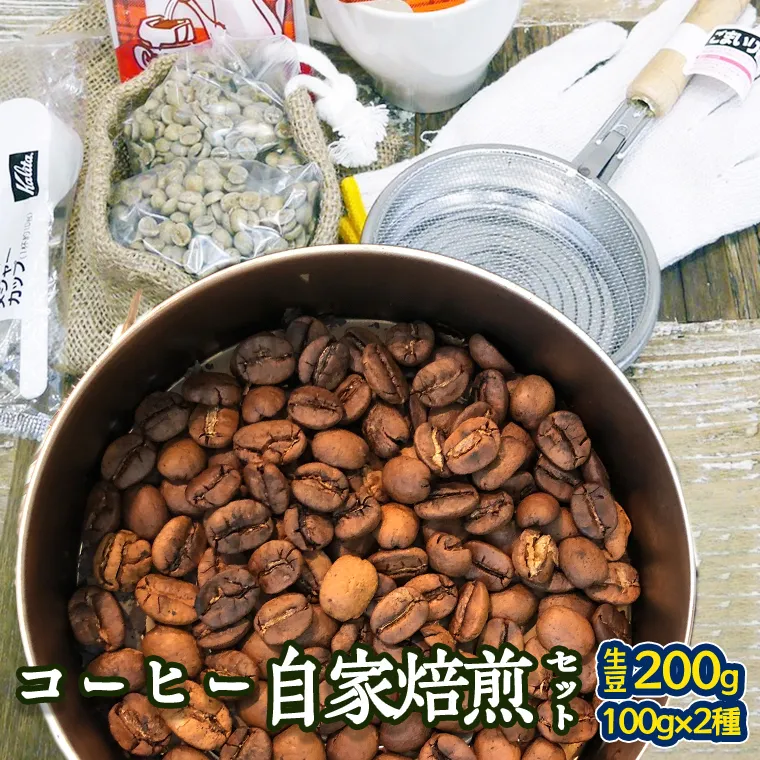 コーヒー 自家焙煎 セット コーヒー豆 200ｇ 2種 × 100ｇ コーヒー ブレンド 生豆 焙煎 初心者 お手軽