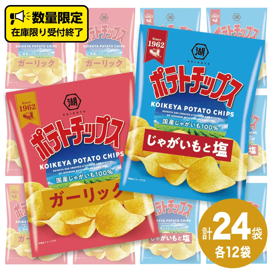 湖池屋 ポテトチップス 2種類アソート （じゃがいもと塩・ガーリック）（各12袋・計24袋） ポテチ お菓子 おかし 大量 スナック おつまみ ジャガイモ じゃがいも まとめ買い スナック菓子 数量限定