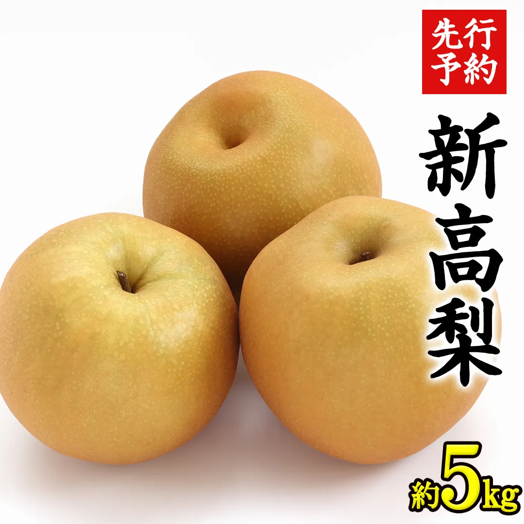 《 先行予約 》 茨城県産 梨 新高 （ 約5kg ） 【 2025年 9月中旬頃より発送開始 】  にいたか ニイタカ フルーツ 果物 なし ナシ 旬 新鮮 旬 期間限定 国産