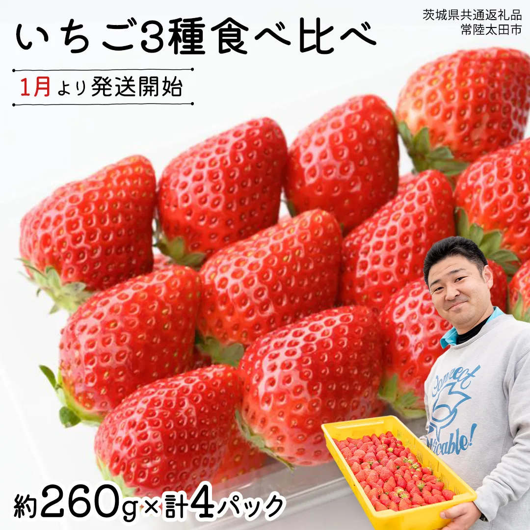 【 先行予約 】いちご 3種 食べ比べセット（4パック×1箱)【 2026年1月から発送開始 】 ( 茨城県共通返礼品 : 常陸太田市 ) 約 260g × 4パック いばらキッス ひたち姫 やよいひめ から 厳選して お届け 数量限定 果物 くだもの フルーツ 苺 イチゴ 期間限定