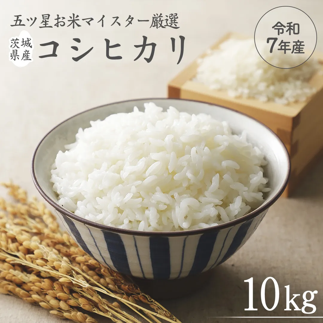 《 令和7年産 》 茨城県産 コシヒカリ 10kg ( 5kg × 2袋 ) 期間限定 こしひかり 米 コメ こめ 五ツ星 高品質 白米 精米 時短 単一米