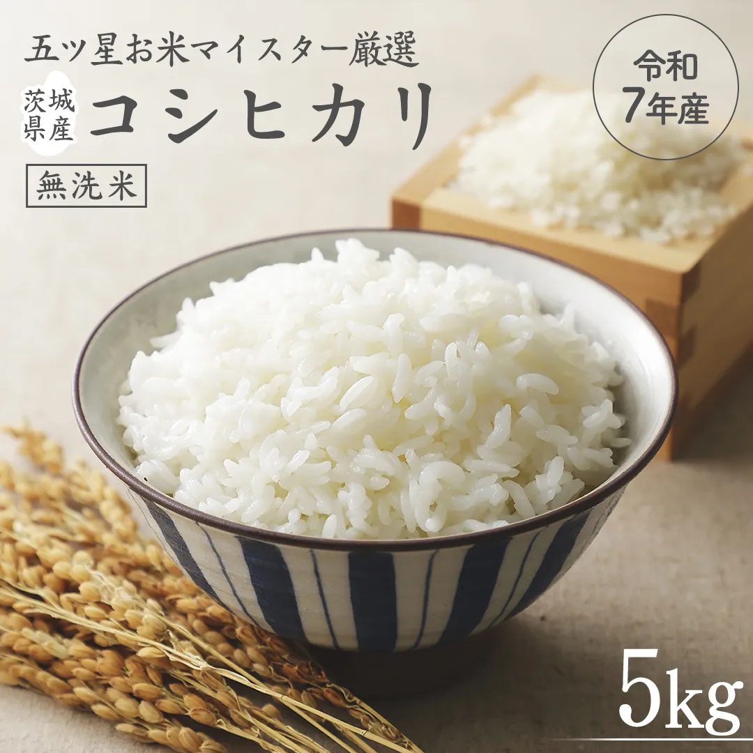 《 令和7年産 》 茨城県産 無洗米 コシヒカリ ( 5kg × 1袋 )  期間限定 こしひかり 米 コメ こめ 五ツ星 高品質 白米 精米 時短 単一米