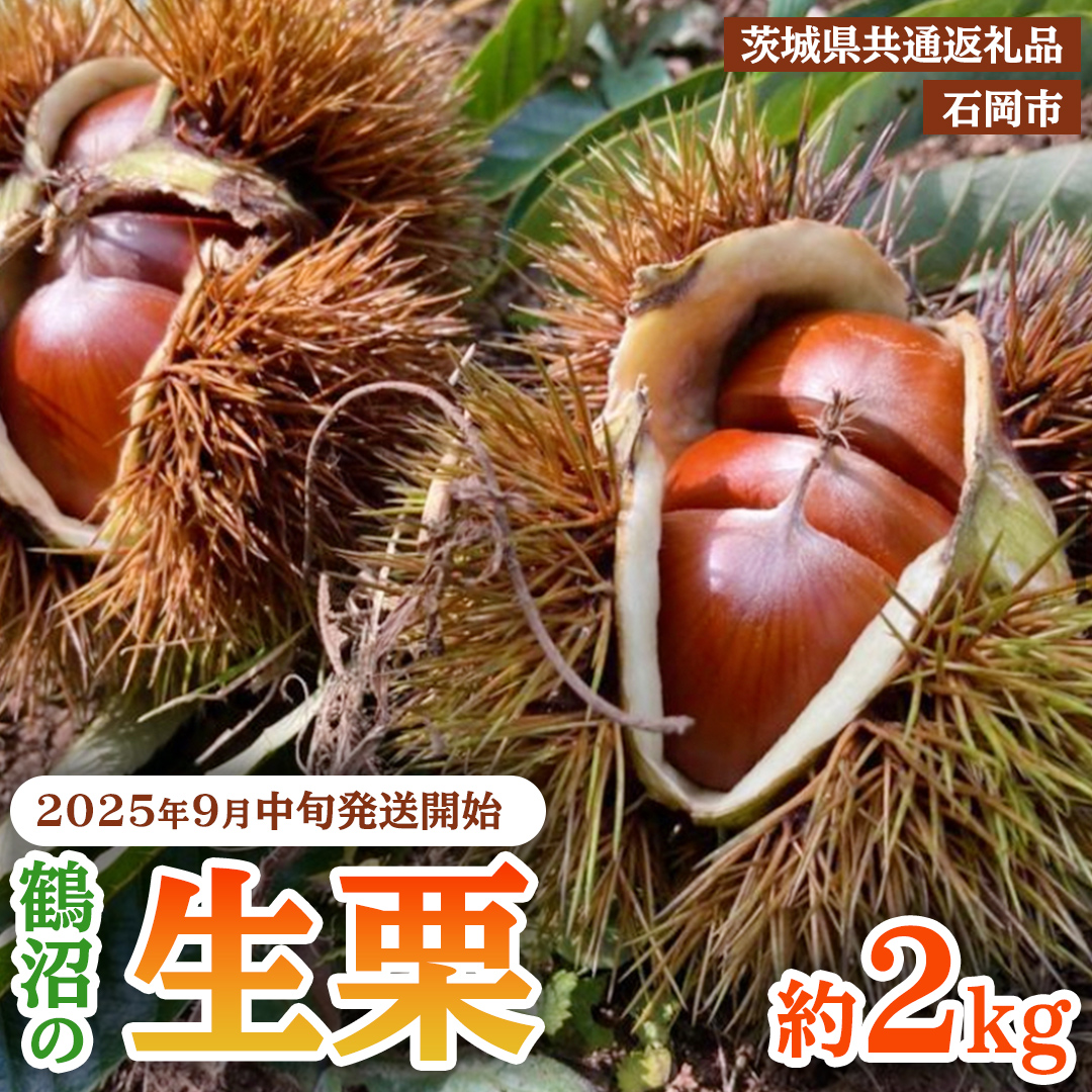 熊本県産　栗　生栗　まゆみ農園　注文画面 熊本県産 栗 生栗 まゆみ農園 注文画面