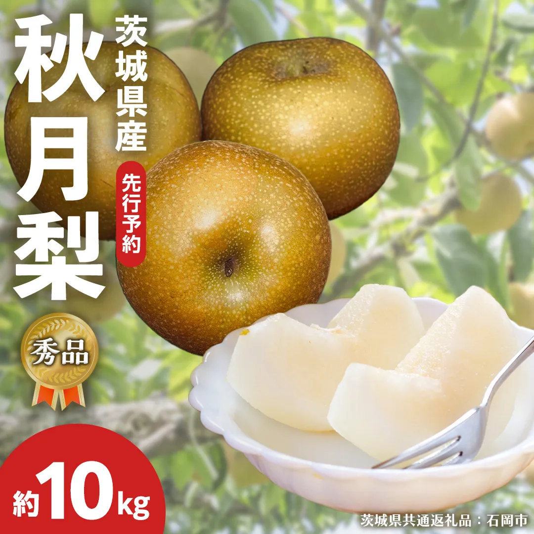  《 先行予約 》 【 秀品 】 茨城県産 梨 秋月 10kg （茨城県共通返礼品：石岡市） フルーツ 果物 なし ナシ 旬 新鮮 旬 期間限定 甘い 国産 【 2025年9月中旬頃より発送開始 】