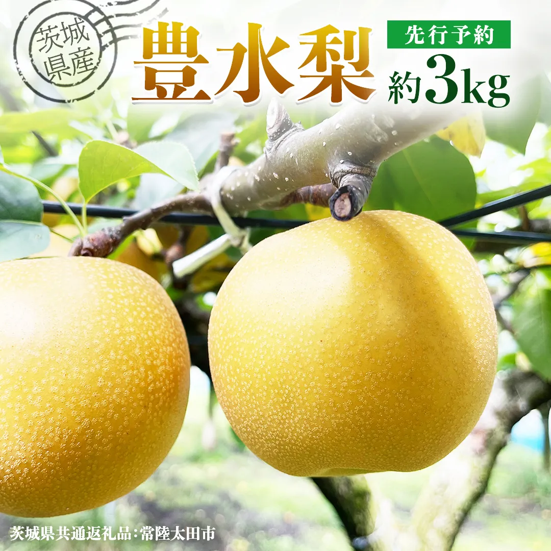 【 先行予約 】茨城県産 梨 豊水 約3kg 7玉～9玉 ( 茨城県共通返礼品 : 常陸太田市 )【 2025年 9月上旬頃より発送 】 フルーツ 果物 国産 日本産 梨 ナシ なし 和梨 期間限定 数量限定