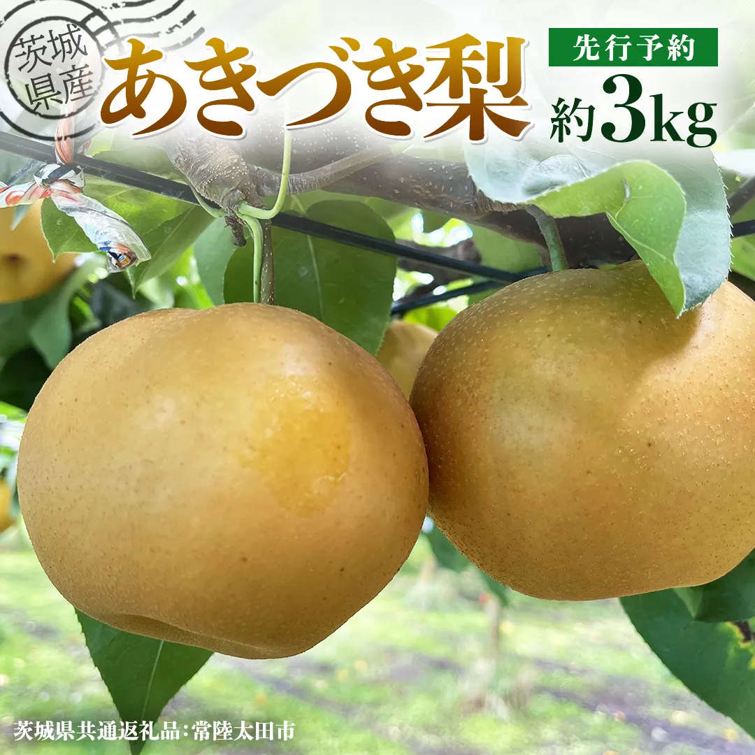 摘津蜜 四季の家で、里山暮らし体験 ｜移住体験プログラム｜ふふふぎふ