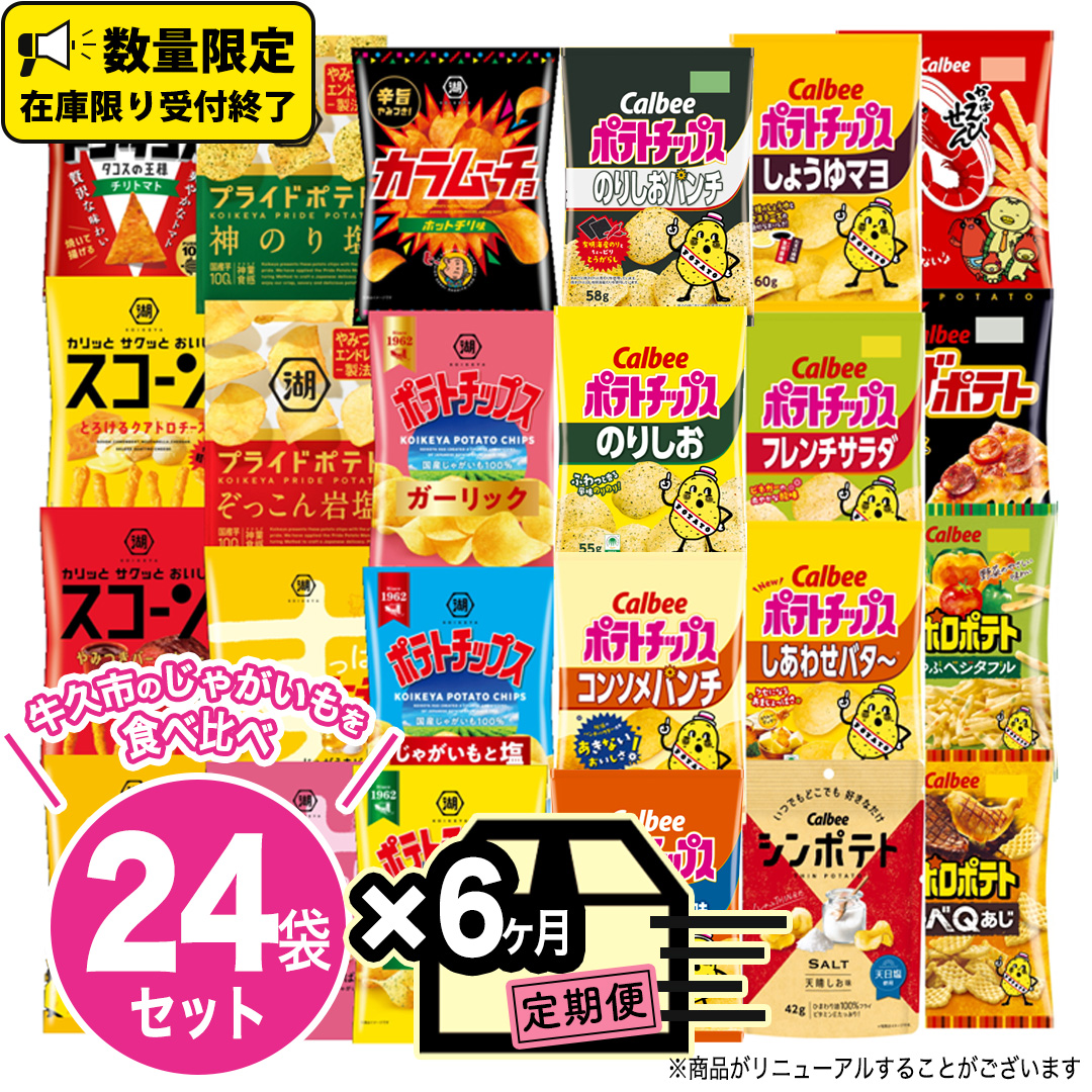 6ヶ月 連続 定期便 】 カルビー 湖池屋 人気 24種 詰め合わせ お