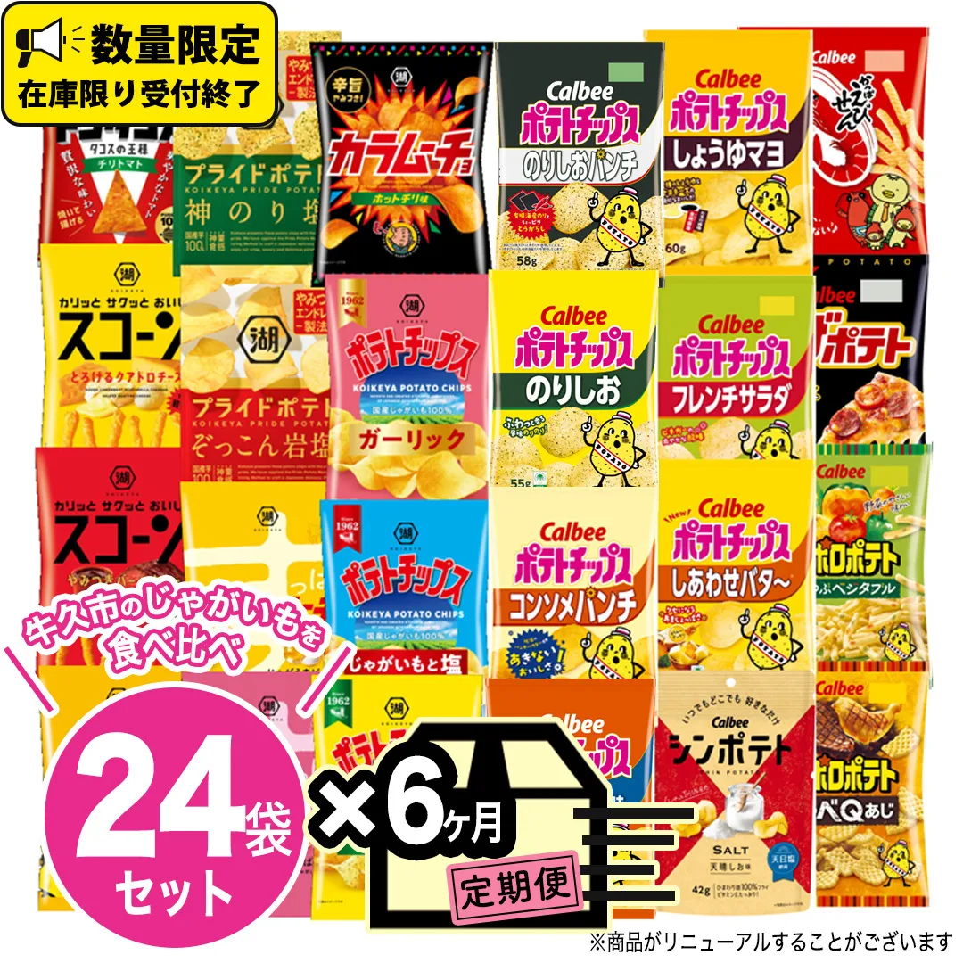 【 6ヶ月 連続 定期便 】 カルビー 湖池屋 人気 24種 詰め合わせ お楽しみ 24袋 スナック菓子 セット カルビー 湖池屋 ポテトチップス ポテチ お菓子 おかし 大量 スナック おつまみ ジャガイモ じゃがいも まとめ買い Calbee ポテト おまかせ 定期便 頒布会 数量限定