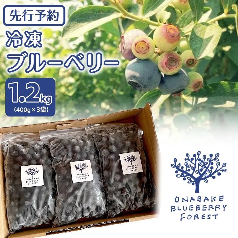 《 先行予約 》 冷凍 ブルーベリー 400g×3袋 【2025年7月上旬頃より発送開始】冷凍 大粒 フルーツ 果物 くだもの おやつ 無農薬 農薬不使用 お取り寄せ 贈り物 ジャム スムージー
