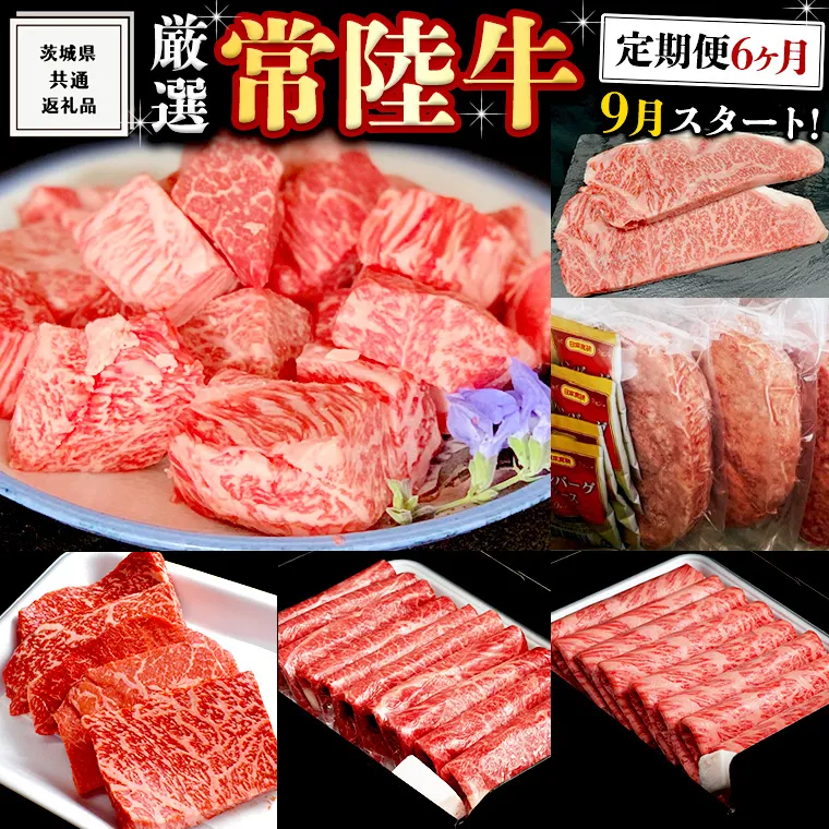 《 定期便　9月スタート 》  厳選 『 常陸牛 』 6ヶ月セット ( 茨城県共通返礼品 ) A5 A4 肉 焼肉 国産 霜降 サーロイン もも ハンバーグ ステーキ すき焼き しゃぶしゃぶ