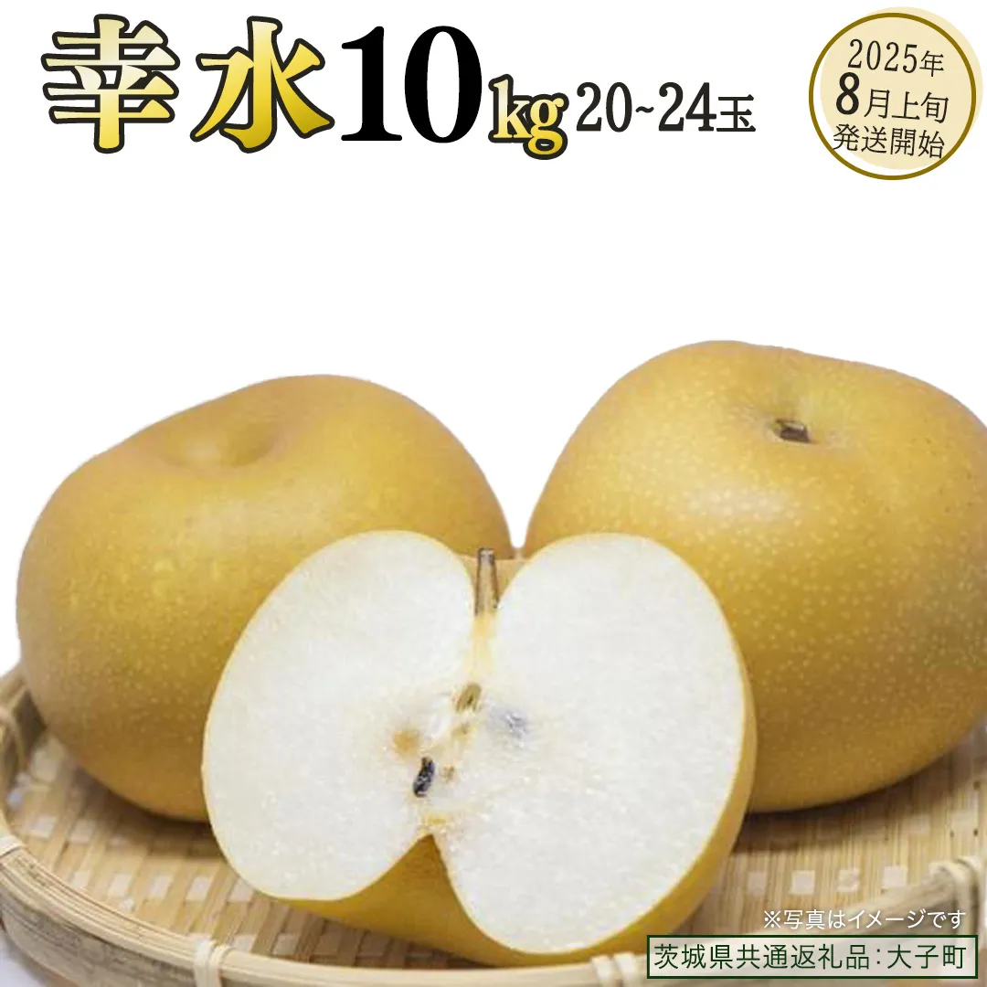 幸水 約10kg (20～24玉)【2025年8月上旬発送開始】(茨城県共通返礼品：大子町) 梨 なし 果物 くだもの フルーツ