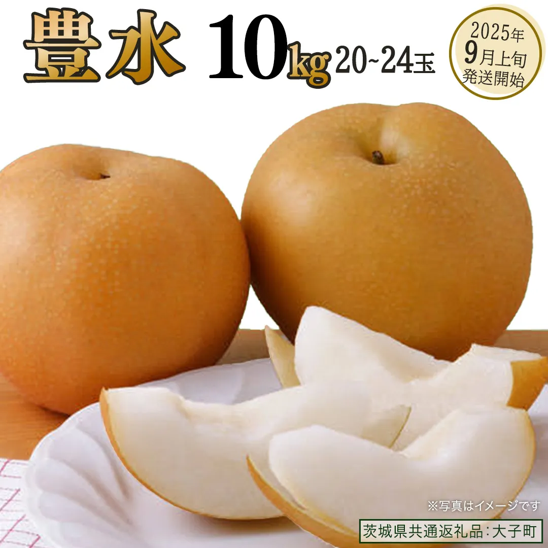 豊水 約10kg (20〜24玉)[2025年9月上旬発送開始](茨城県共通返礼品:大子町)