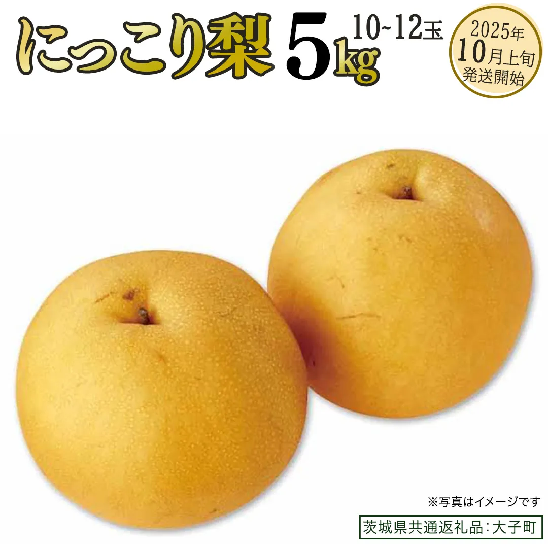 にっこり梨 約5kg (10～12玉)【2025年10月上旬発送開始】(茨城県共通返礼品：大子町) 梨 なし 果物 くだもの フルーツ にっこり