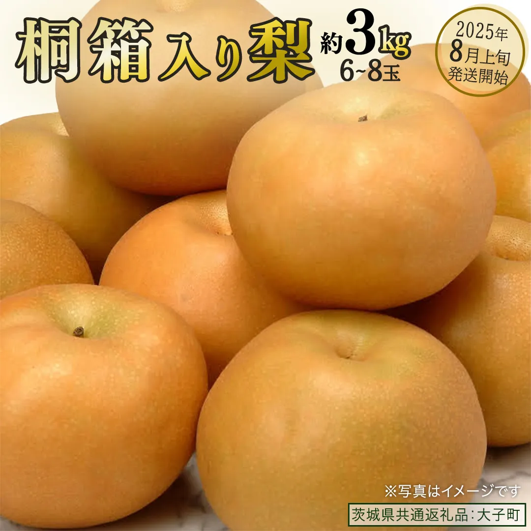 【桐箱入り】梨 約3kg (6～8玉) 【2025年8月上旬発送開始】(茨城県共通返礼品：大子町) なし 果物 くだもの フルーツ おまかせ 旬