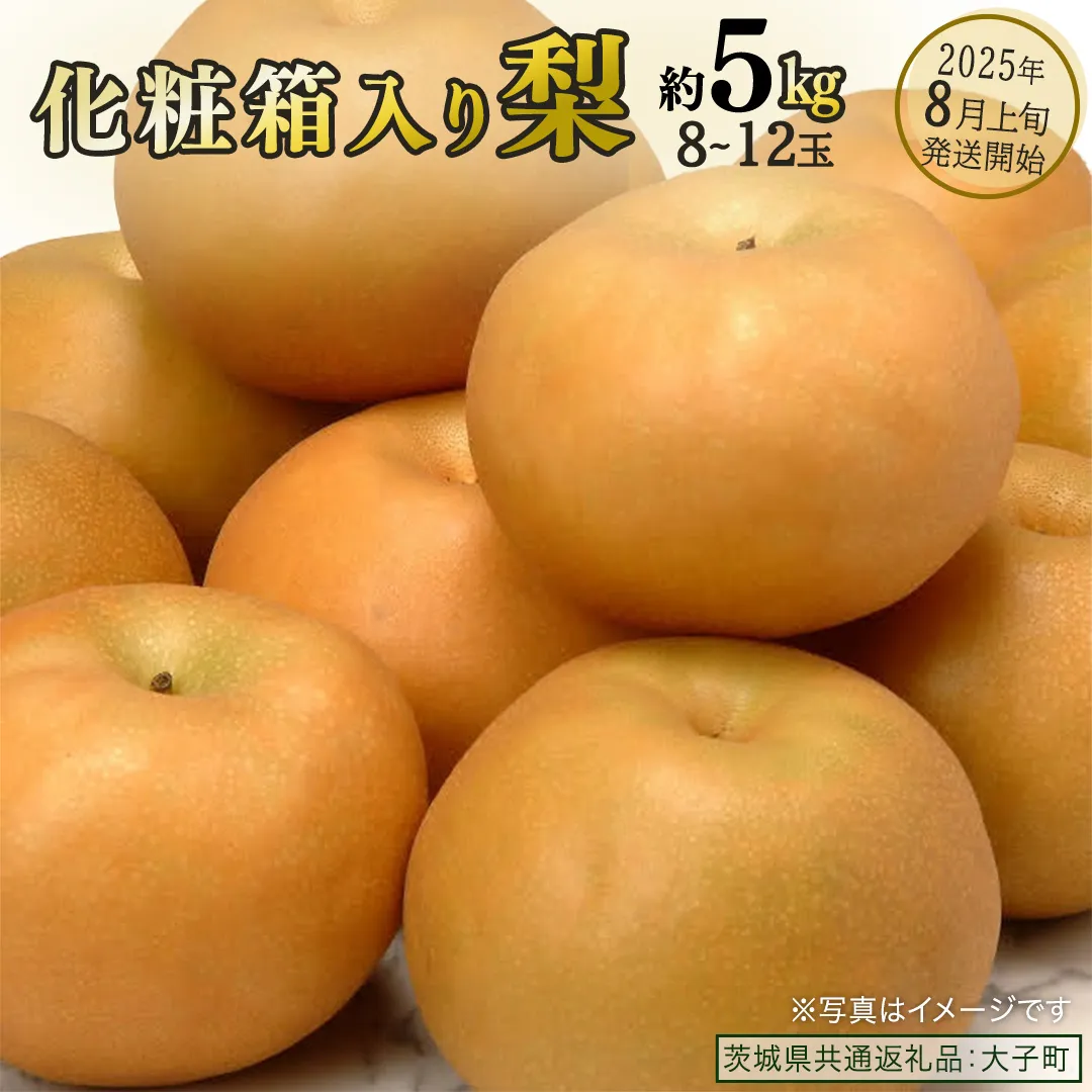 【化粧箱入り】梨 約5kg (8～12玉)【2025年8月上旬発送開始】(茨城県共通返礼品：大子町) なし 果物 くだもの フルーツ おまかせ 旬