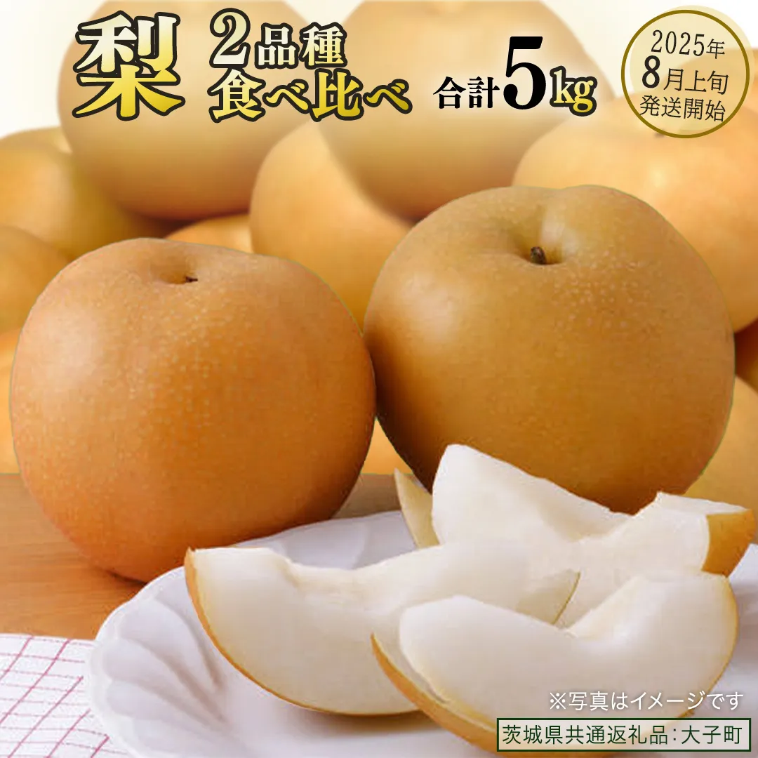 【食べ比べ】 梨 2品種 合計 約5kg 【2025年8月上旬発送開始】 (茨城県共通返礼品：大子町) なし 果物 くだもの フルーツ おまかせ 旬