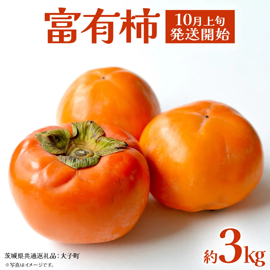 富有柿 約3kg 【2025年10月上旬発送開始】(茨城県共通返礼品：大子町) 柿 カキ かき 果物 フルーツ 旬 季節限定 期間限定