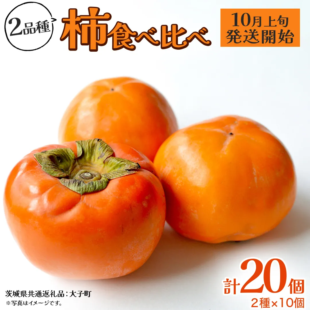 柿 食べ比べ 2品種×10個[2026年10月上旬発送開始](茨城県共通返礼品:大子町) 富有柿 次郎柿 種無し柿 筆柿 太秋柿 果物 フルーツ 旬 季節限定 期間限定