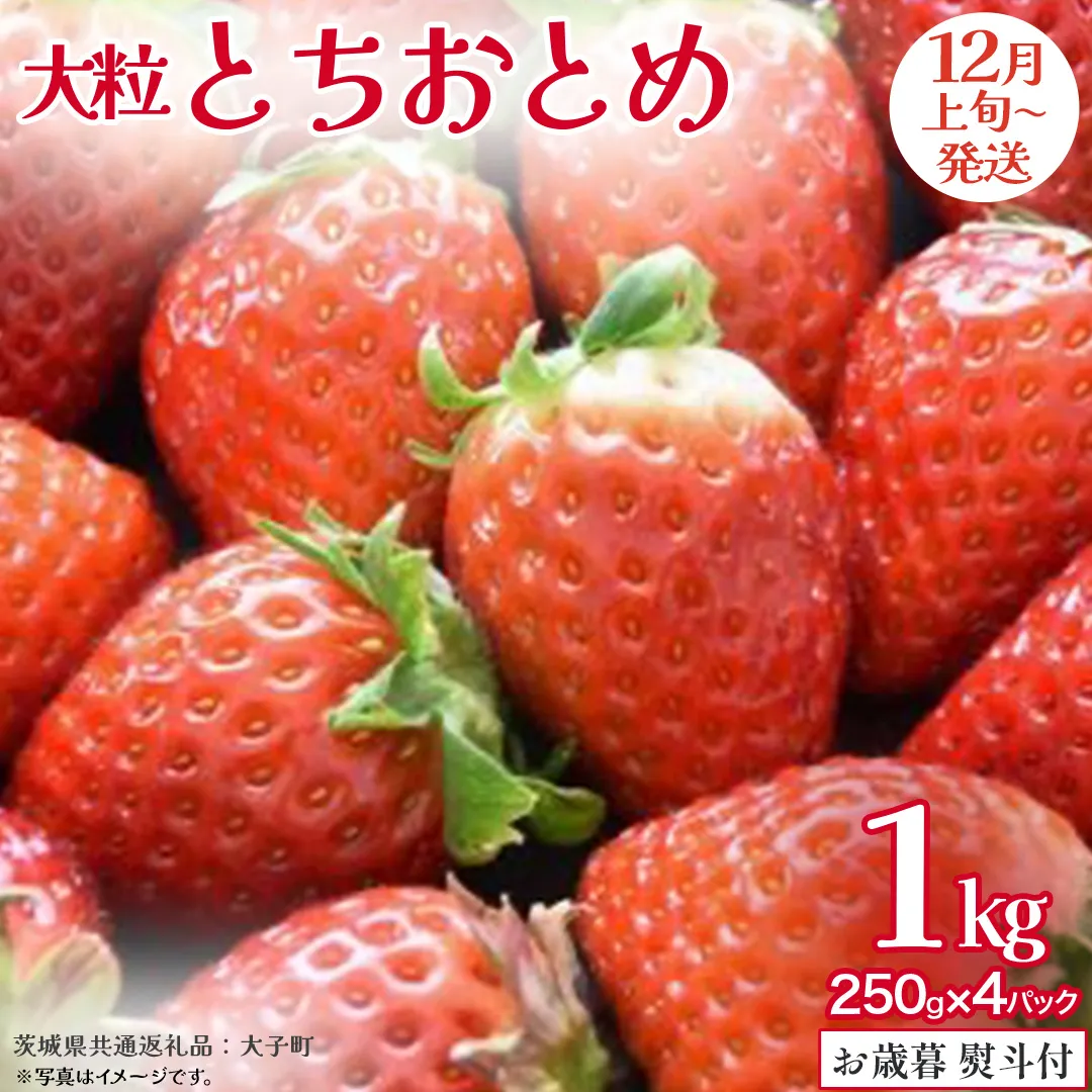 【 お歳暮 熨斗付き 】 とちおとめ 250g（8～12粒）×4パック【2025年12月上旬発送開始】(茨城県共通返礼品：大子町) いちご 苺 果物 フルーツ 果実 贈答用 ギフト 贈り物