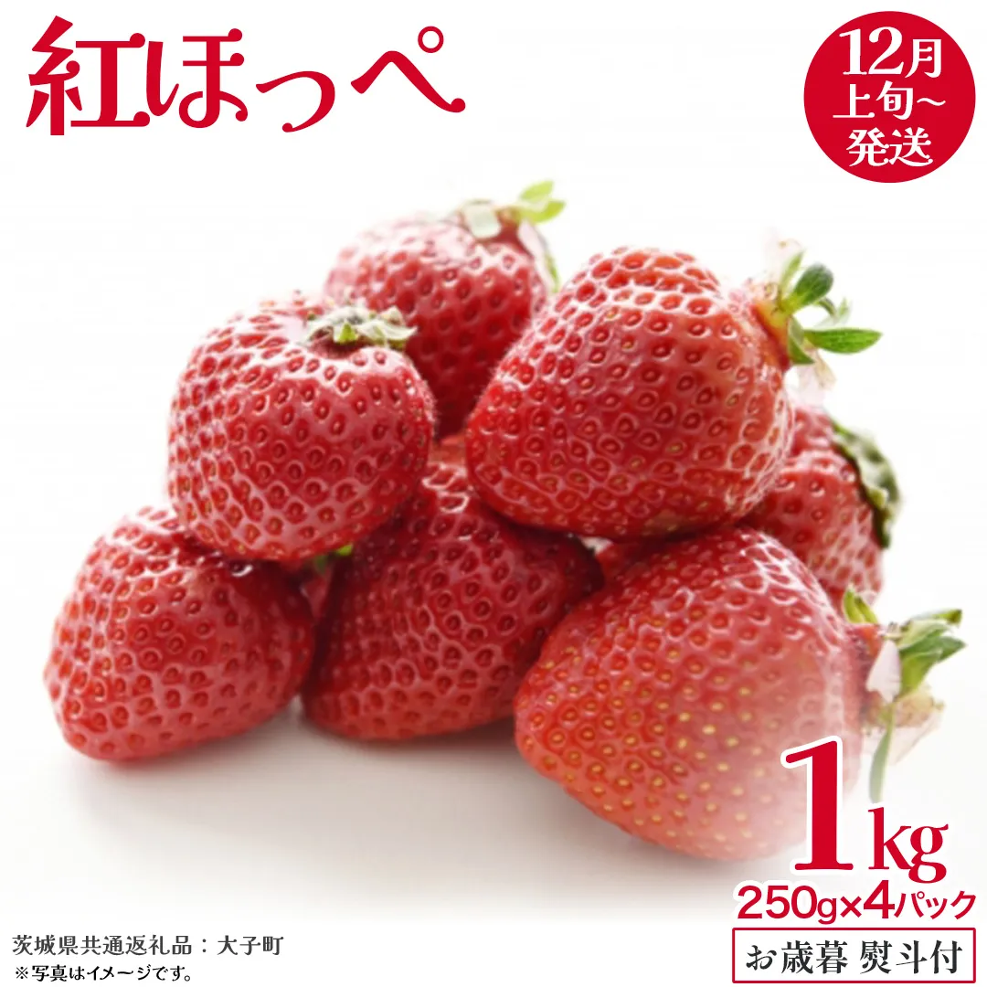 【 お歳暮 熨斗付き 】 紅ほっぺ 250g（8～12粒）×4パック【2025年12月上旬発送開始】(茨城県共通返礼品：大子町) いちご 苺 果物 フルーツ 果実 贈答用 ギフト 贈り物