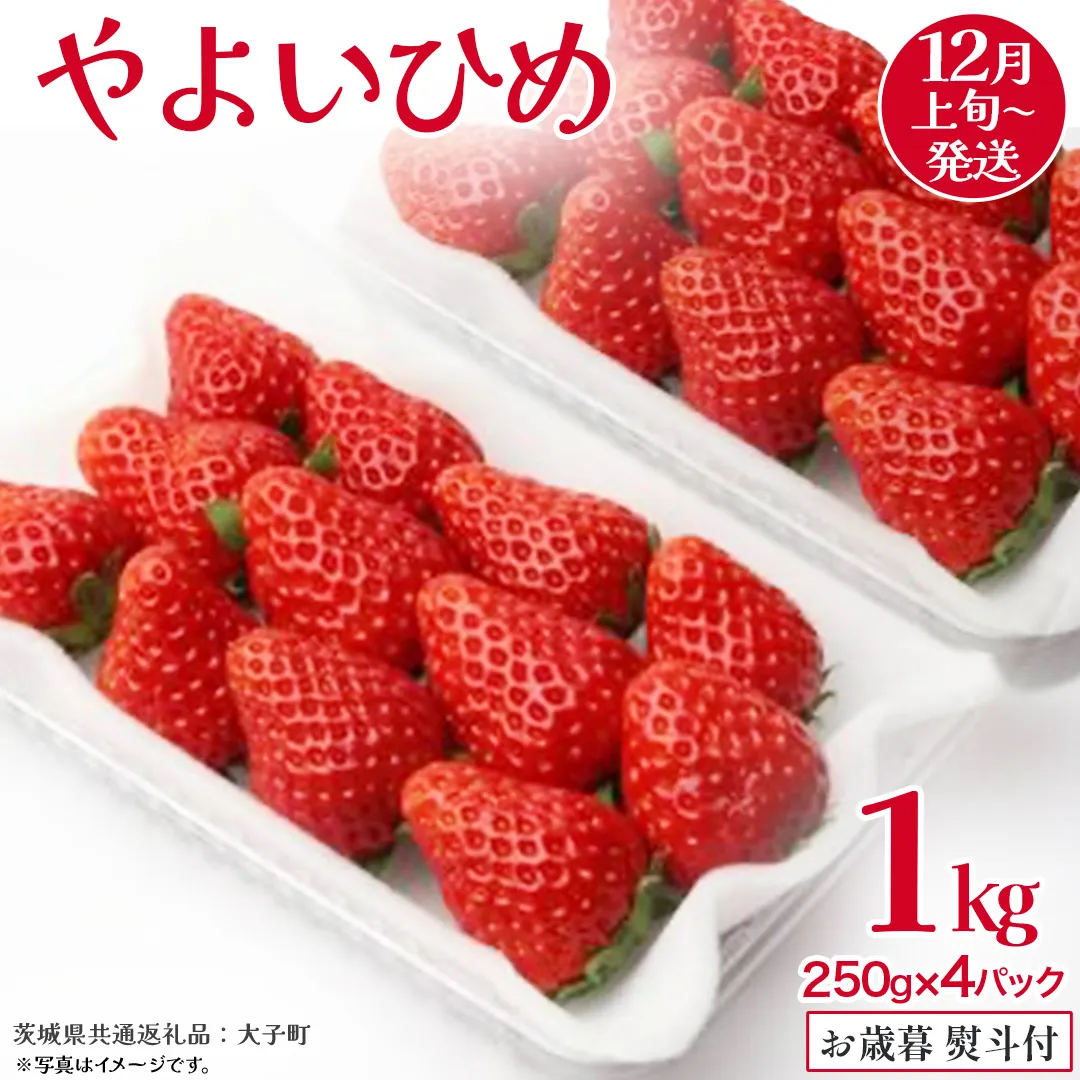 【 お歳暮 熨斗付き 】 やよいひめ 250g（8～12粒）×4パック【2025年12月上旬発送開始】(茨城県共通返礼品：大子町) いちご 苺 果物 フルーツ 果実 贈答用 ギフト 贈り物
