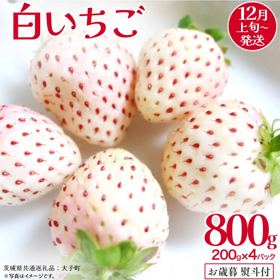 【 お歳暮 熨斗付き 】 白いちご 200g（8～12粒）×4パック【2025年12月上旬発送開始】(茨城県共通返礼品：大子町) いちご 苺 果物 フルーツ 果実 贈答用 ギフト 贈り物