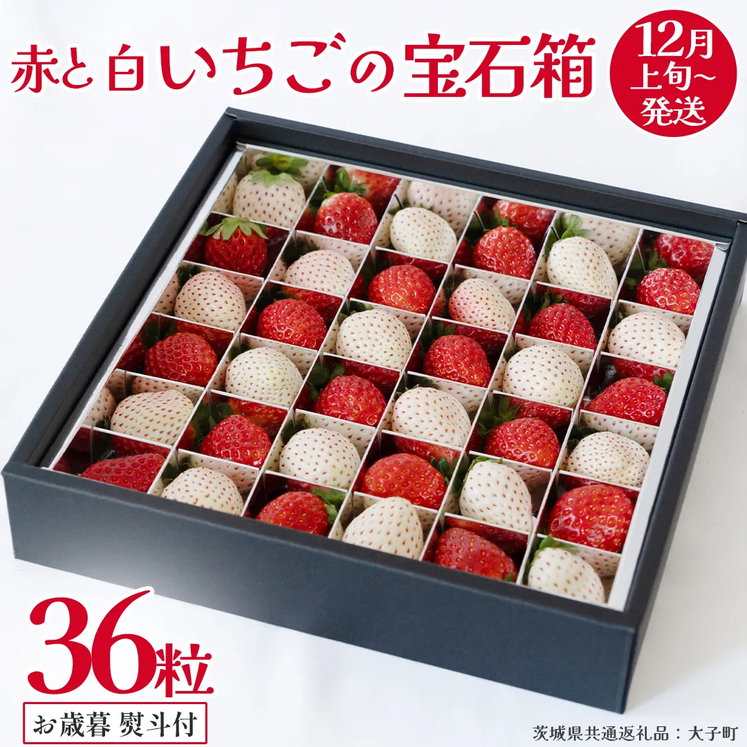 【 お歳暮 熨斗付き 】 赤いちご と 白いちご の宝石箱36粒【2025年12月上旬発送開始】(茨城県共通返礼品：大子町) いちご 苺 果物 フルーツ 果実 贈答用 ギフト 贈り物