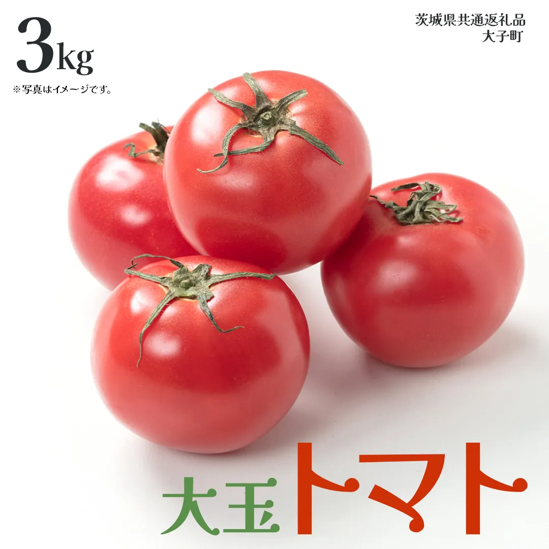 大玉 トマト 3kg (茨城県共通返礼品：大子町) 野菜 フルーツ 旬 季節限定 期間限定