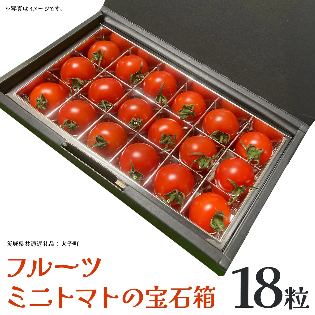 フルーツ ミニトマト の宝石箱 18粒 (茨城県共通返礼品：大子町) 野菜 フルーツ 旬 季節限定 期間限定