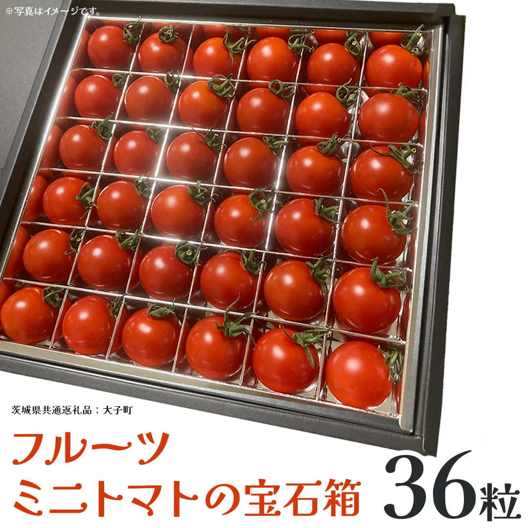 フルーツ ミニトマト の宝石箱 36粒 (茨城県共通返礼品：大子町) 野菜 フルーツ 旬 季節限定 期間限定