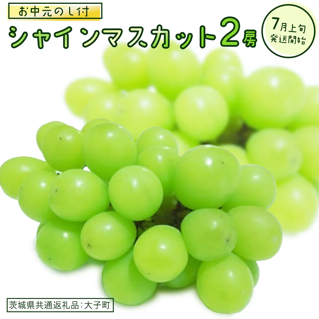 【 お中元 熨斗付き】 シャインマスカット ２房 【2026年7月上旬発送開始】(茨城県共通返礼品：大子町) ぶどう 葡萄 ブドウ マスカット フルーツ 果物 贈答用 ギフト 贈り物