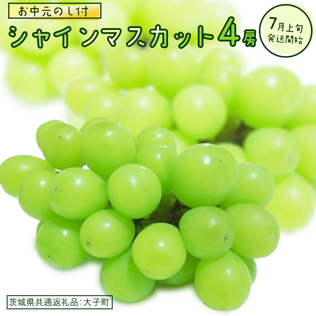 【 お中元 熨斗付き】 シャインマスカット ４房 【2026年7月上旬発送開始】(茨城県共通返礼品：大子町)  ぶどう 葡萄 ブドウ マスカット フルーツ 果物 贈答用 ギフト 贈り物
