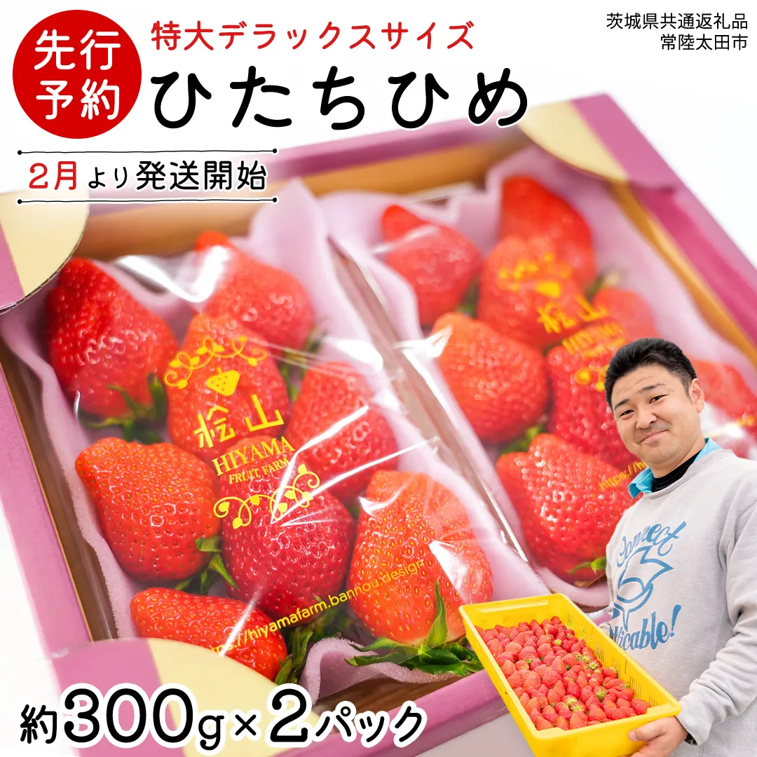 【 先行予約 】 ひたち姫 ( 2パック ) 特大 デラックス サイズ 【 2027年2月から発送開始 】( 常陸太田市 共通返礼品) いちご 数量限定 果物 くだもの フルーツ 苺 イチゴ ストロベリー 旬 大きい ひたち 甘い あまい