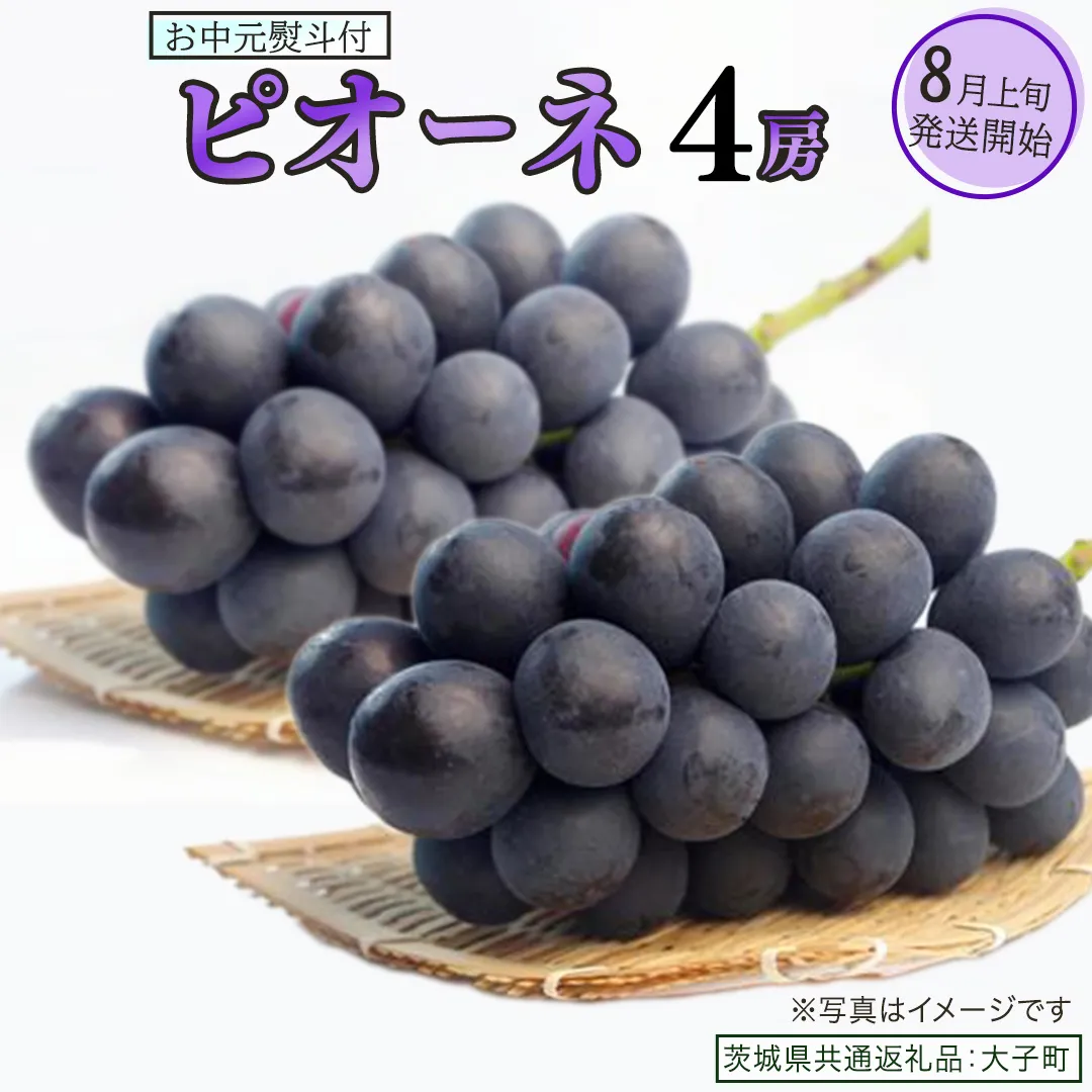 【 お中元 熨斗付き 】 ピオーネ ４房 【2026年8月上旬発送開始】(茨城県共通返礼品：大子町) ブドウ ぶどう 葡萄 ピオーネ 果物 フルーツ 果実