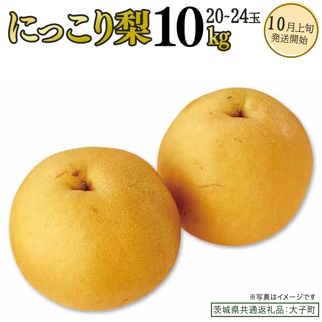 にっこり梨 約10kg (20～24玉)【2026年10月上旬発送開始】(茨城県共通返礼品：大子町) 梨 なし 果物 くだもの フルーツ にっこり