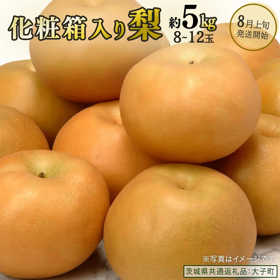 【化粧箱入り】梨 約5kg (8～12玉)【2026年8月上旬発送開始】(茨城県共通返礼品：大子町) なし 果物 くだもの フルーツ おまかせ 旬