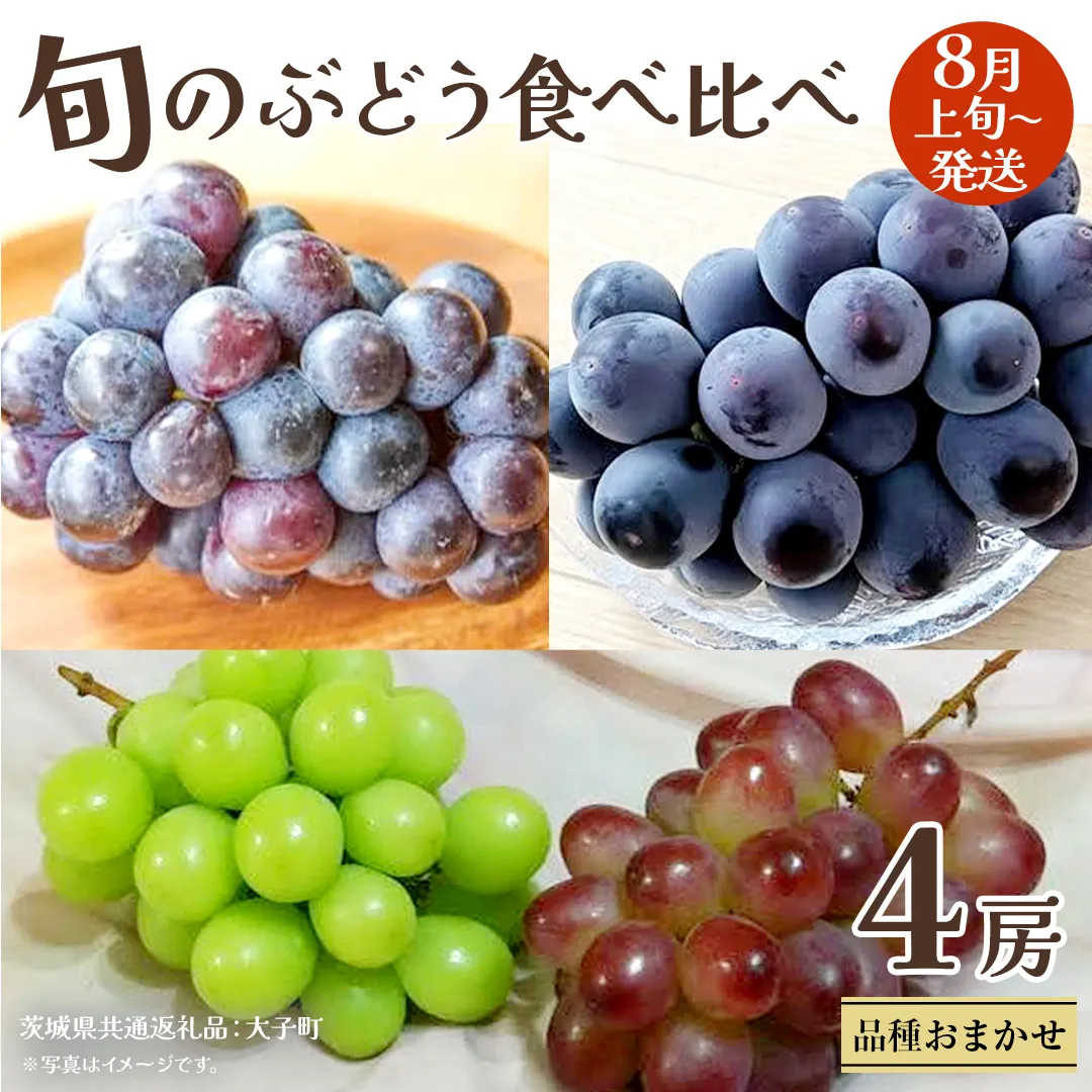 旬な ぶどう 食べ比べ 700g × 4房 【2026年8月上旬発送開始】(茨城県共通返礼品：大子町) ぶどう 葡萄 フルーツ 果物 おまかせ お楽しみ