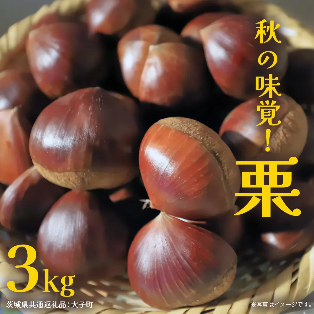 秋の味覚「 栗 」3kg 【2026年9月上旬発送開始】(茨城県共通返礼品：大子町) くり マロン 果物 スイーツ モンブラン 栗きんとん 生栗 焼き栗 甘栗