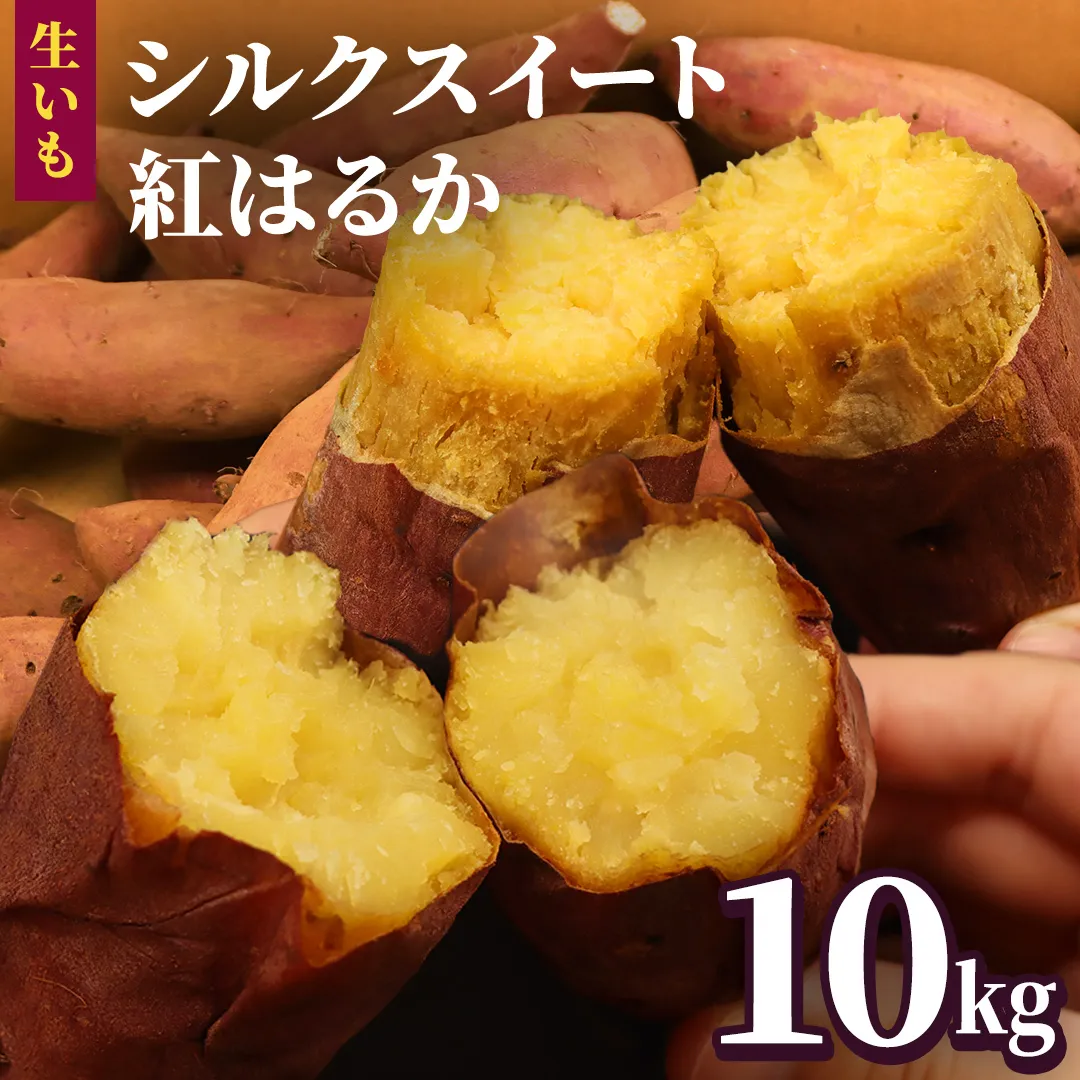 さつまいも 【 シルクスイート ・ 紅はるか 】 5kg ( 箱込 )の 2箱セット さつまいも 詰合せ 国産 農園 野菜 サツマイモ 芋 期間限定 デザート スイーツ おやつ 料理 味噌汁 煮物 生芋