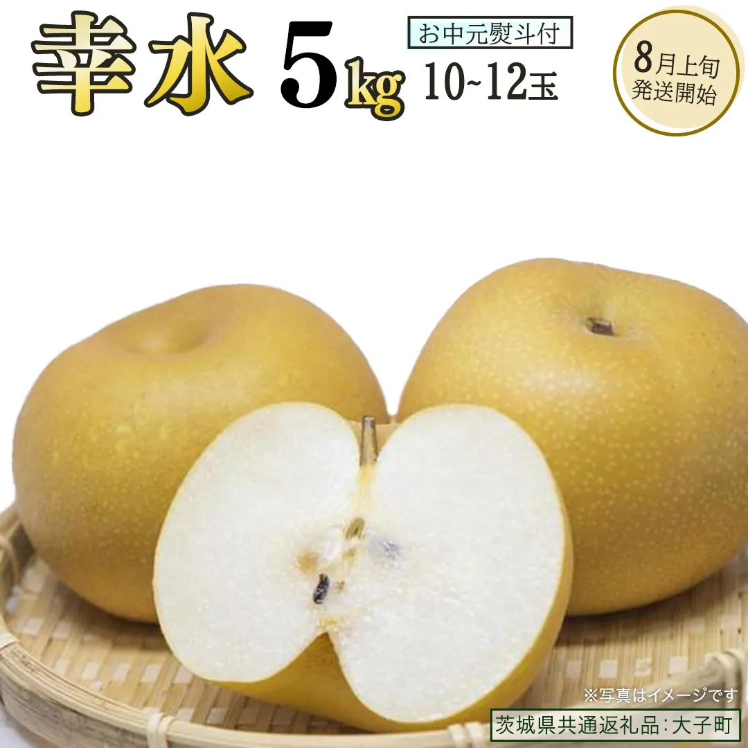 【 お中元 熨斗付き 】 幸水 約5kg (10～12玉)【2026年8月上旬発送開始】(茨城県共通返礼品：大子町) 梨 なし 果物 くだもの フルーツ