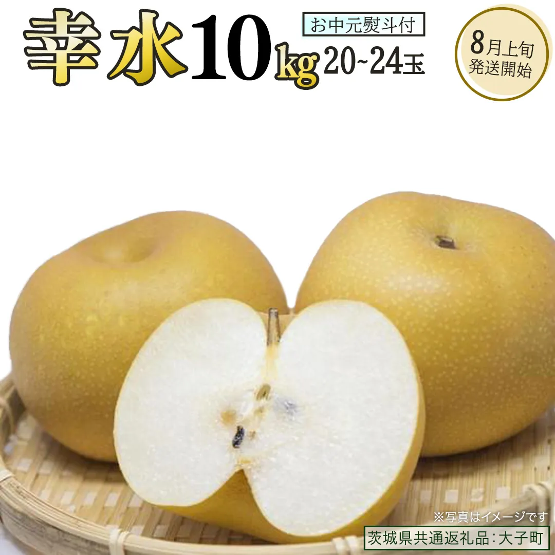 【 お中元 熨斗付き 】 幸水 約10kg (20～24玉)【2026年8月上旬発送開始】(茨城県共通返礼品：大子町) 梨 なし 果物 くだもの フルーツ