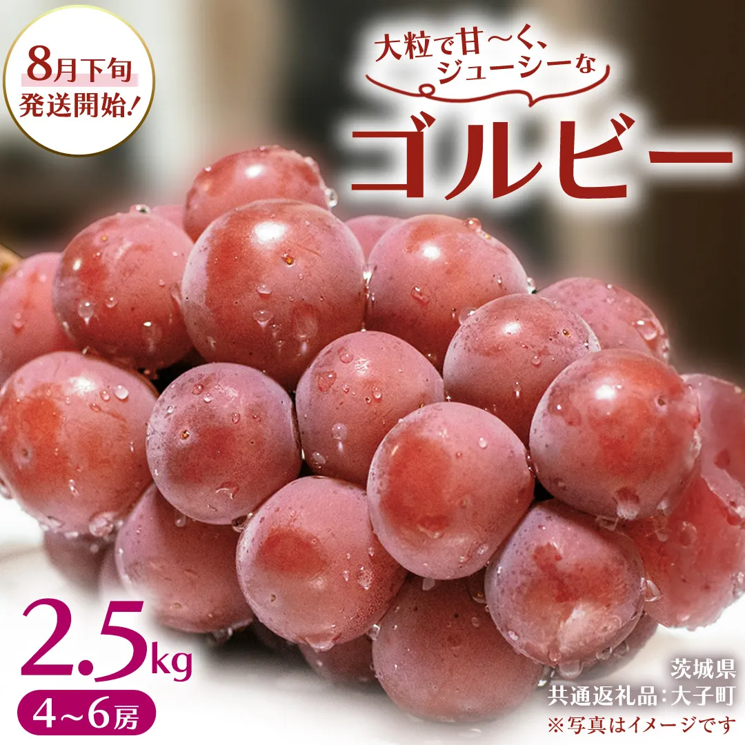 ゴルビー 2.5kg (4～6房)【2026年8月下旬発送開始】(茨城県共通返礼品：大子町) ぶどう 葡萄 ブドウ 果物 フルーツ 果実