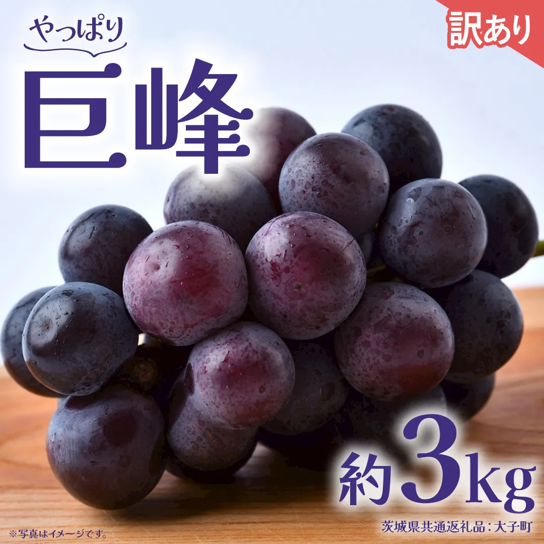 【 訳あり 】 巨峰 3kg 【2026年9月発送開始】(茨城県共通返礼品：大子町) ぶどう 葡萄 ブドウ フルーツ 果物 スイーツ わけあり ワケあり ご自宅用 ご家庭用 自分用