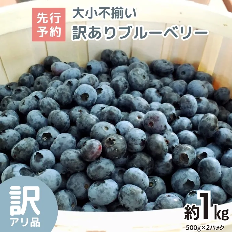 《 先行予約 》ブルーベリー 大小不揃い 約 1kg【2026年6月中旬頃より発送開始】 訳アリ B品 お得 甘い 甘酸っぱい 産地直送 おやつ デザート ジャム スムージー